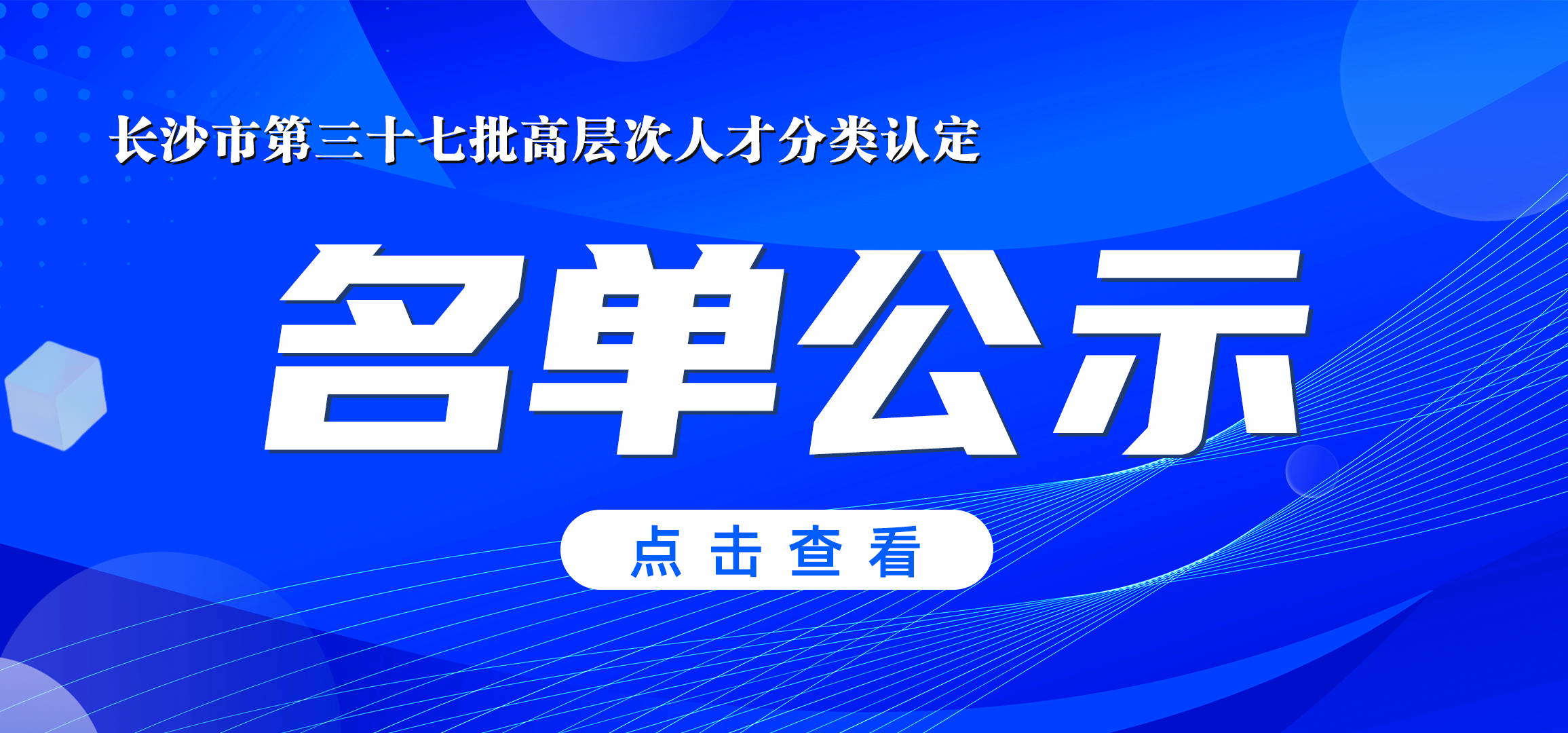 公司技术专家李中秀获长沙市高层次人才（D类人才）认定